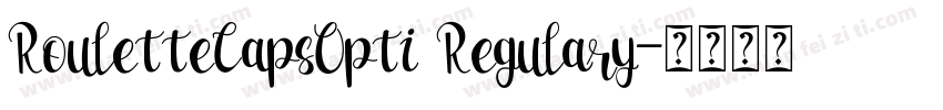 RouletteCapsOpti Regulary字体转换